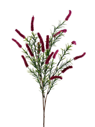 Cetaria rama/flor x 85cm ( caja.12 ) fucsia
