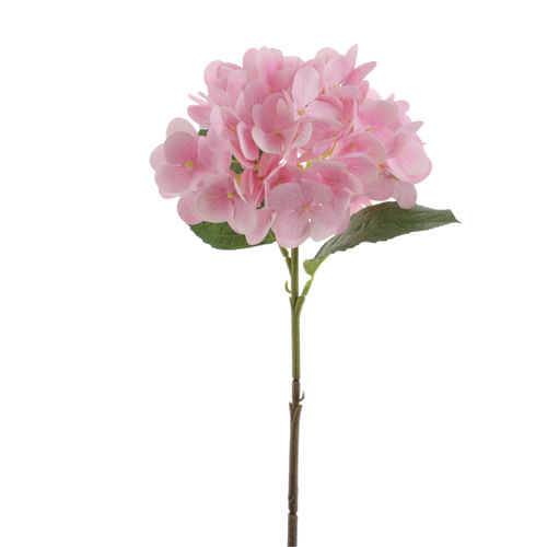 Hortensia vara x 72cms rosa  ( caja.12 )