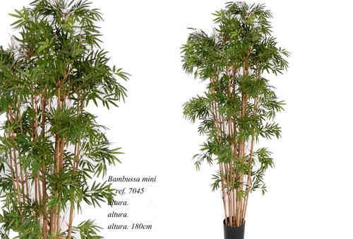 Bamboo hoja mini x 1328 hojas x 185cms con maceta