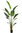 Sterlitzia Augusta x 200cms con maceta " Premium"
