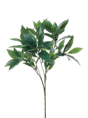 Laurel con buds de 74 hojas x 55cms
