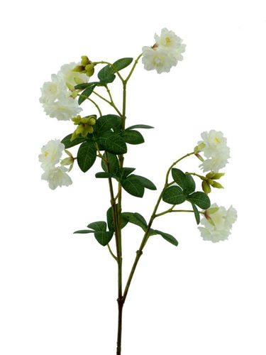 Almendro Sakura x 76cms  blanco
