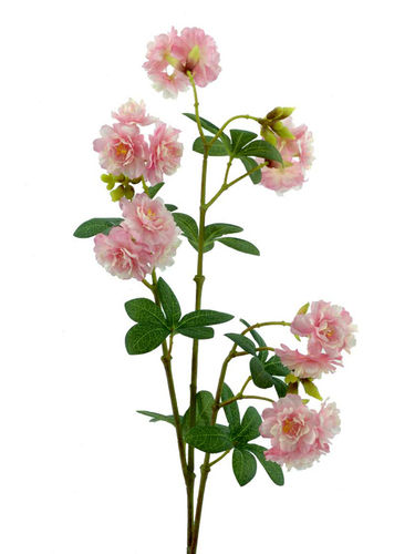 Almendro Sakura x 76cms  rosa