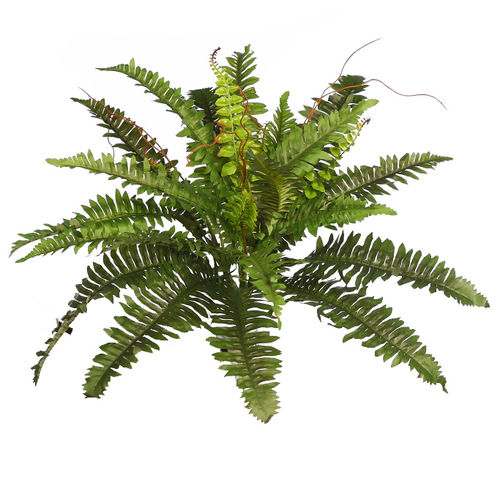 Helecho planta x 28 hojas x 48cms  " tergal " ( caja.6 )