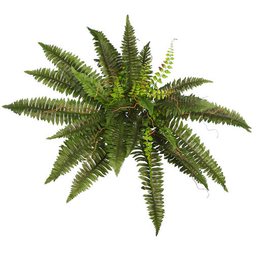 Helecho planta x 36 hojas x 64cms  " tergal " ( caja.6)