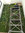 Jardin Vertical a medida  m2 " Premium " tamaño 500 x 800cm altura