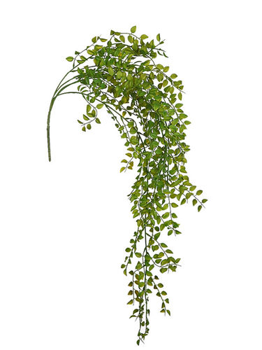 Buxus hoja mini colcante x 78cm .verde