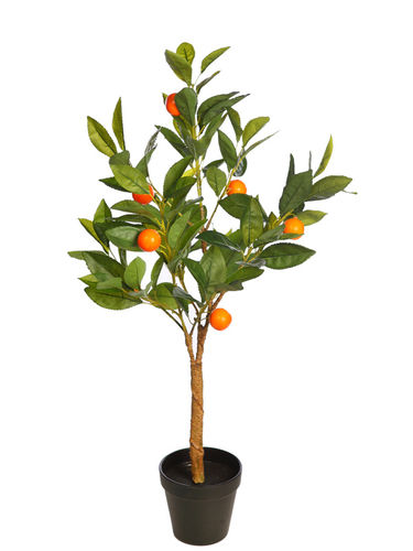 Mandarino x 70cms con maceta