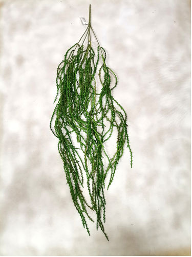 Rhipsalis colgante x 95cms verde