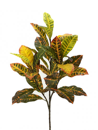 Crotons elegant x 28 hojas x 110cms