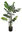 Philo planta x 115cms con maceta