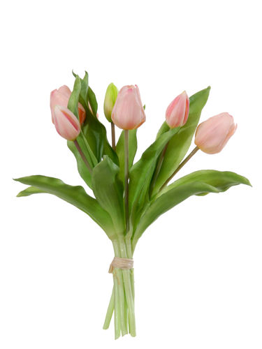Tulipanes atado 32cm " premium"  rosa