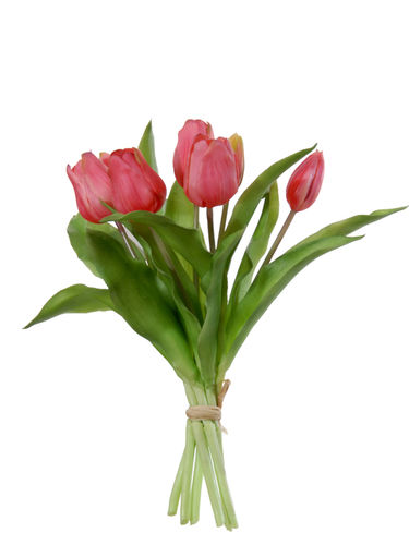 Tulipanes atado 32cm " premium"  cereza