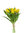 Tulipanes atado 32cm " premium" amarillo