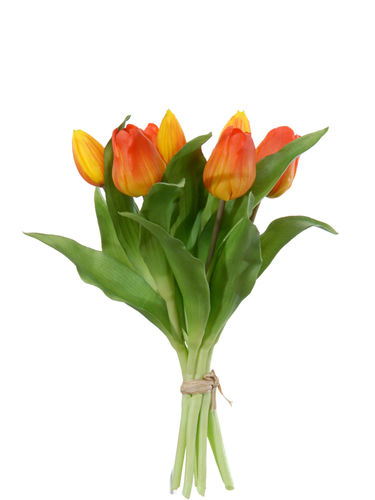 Tulipanes atado 32cm " premium"  naranja