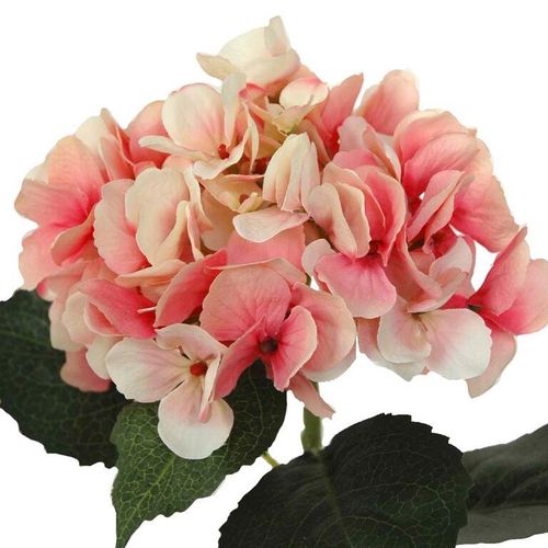Hortensia vara 14cms / tallo 66cms  rosada