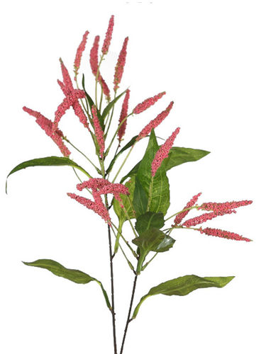 Rama Graminea.Erica x 90cms  rosada