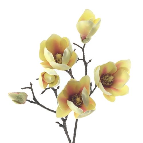 Magnolia x 5 flores  62cm  - vainilla