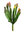 cactus con flor x 17cms