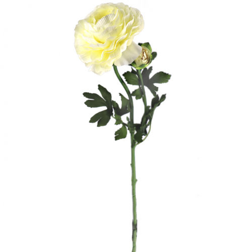 Peonya garden x 62cms flor.12   blanco
