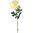 Peonya garden x 62cms flor.12 blanco