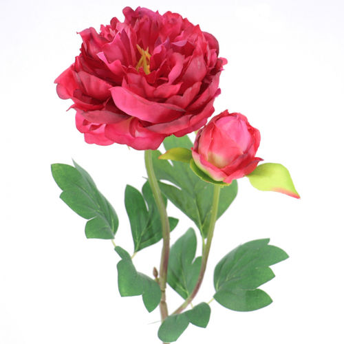 Peonya garden x 62cms flor.12   rojo