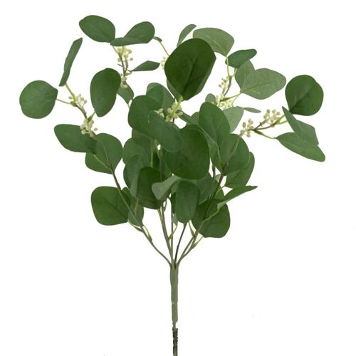 Eucalipto ramo x 38cms - verde