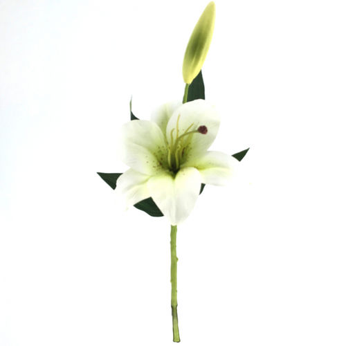 Lilium x 1 flor x 42cm   blanco