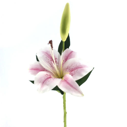 Lilium x 1 flor x 42cm   lavanda