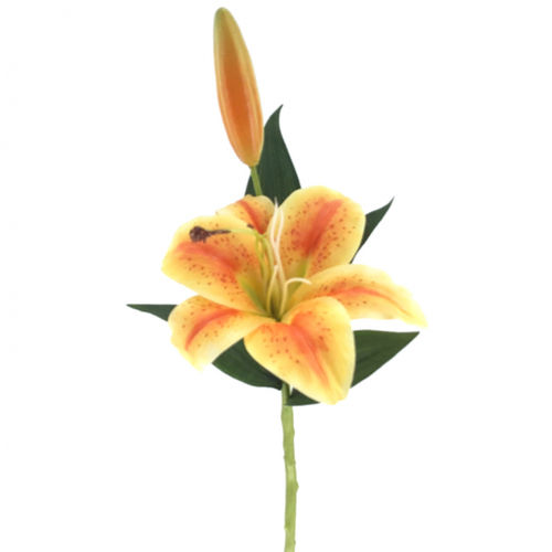Lilium x 1 flor x 42cm   naranja