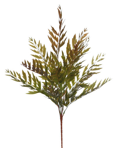 Planta Helechosa x 48cms  verde ( caja.6 )