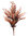 Planta Helechosa x 48cms marron
