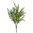 Romero planta x 32cm verde ( caja.12 )