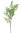 Adianthum rama x 100cm verde