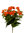 Begonia plant x 37cms naranja ( caja.6)