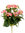 Begonia plant x 37cms rosa ( caja.6)