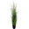 Graminea Penisetum x 115cms con maceta