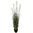 Graminea Penisetum x 130cms con maceta