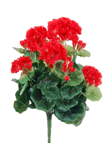 Geranio x 7 flores 36cms - rojo  ( caja.6 )