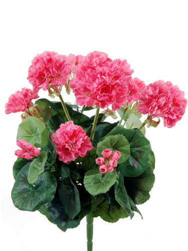 Geranio x 7 flores 36cms - rosa  ( caja.6 )