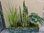 lineal plantas-jardinera 100cm ( quita y pon)