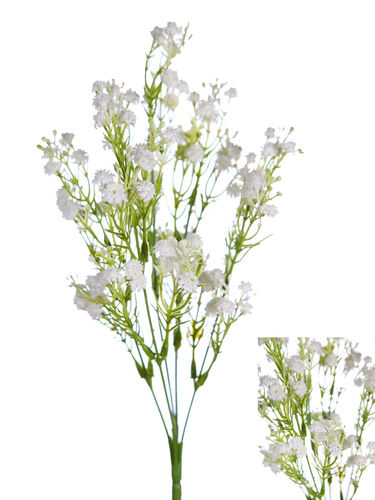 Gipsofila ramo x 34cms blanco ( caja.12 )