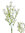 Gipsofila ramo x 34cms blanco ( caja.12 )