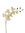 Phalenopsis x 80cms blanca ( caja.12 )