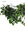 Mata Hiedra x 186 hojas verde ( caja.6 )
