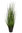 Graminea verde x 85cm con maceta