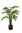 Sellum plant x 80cm con maceta caja.1