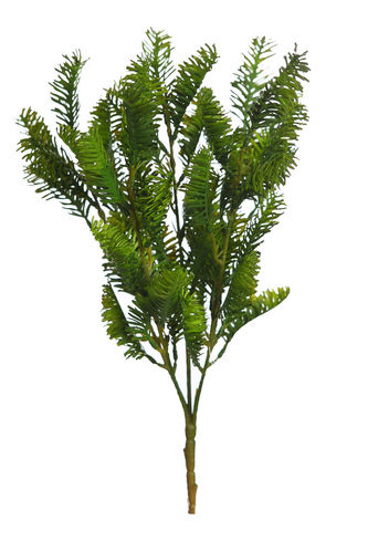 Picea verde x 38cm  (caja.6)
