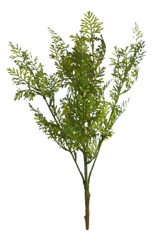 Cypress ramo x 38cm verde (caja.6)