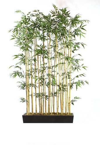 Separador bamboo 50 x 35 x 180cm ** sin jardinera